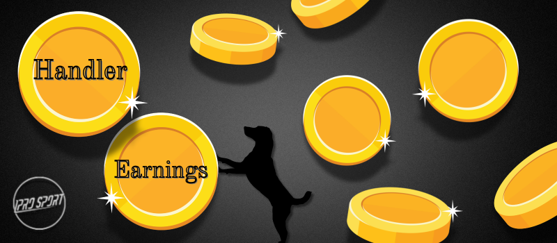 HandlerEarnings_1.png