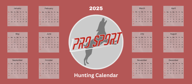 ProSportCalendar_3_800x350.png